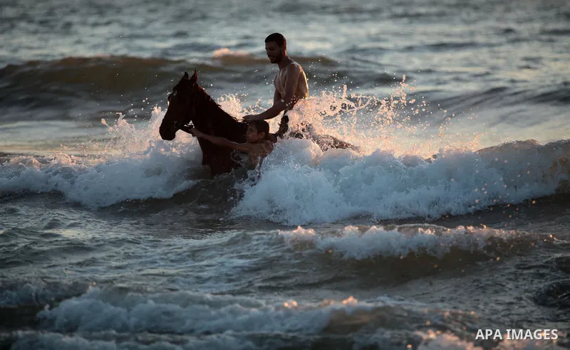 A Palestinian man rides his horse in the sea on the beach in the central Gaza Strip June 26, 2014. Palestinian Environment Quality Authority said in a statement the pollution of the seawater has gone beyond 50 percent. T...