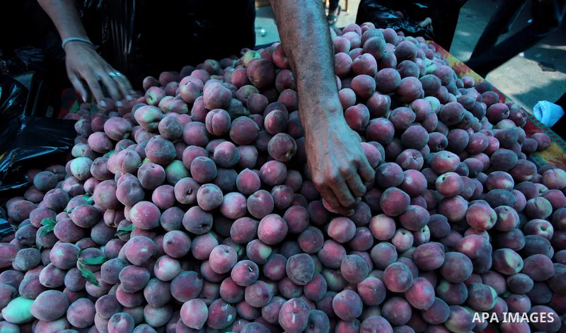 A Palestinian vendor sells peach at a street market during the holy fasting month of Ramadan in Gaza city, on July 01, 2014. Muslims around the world refrain from eating, drinking and sexual intercourse from dawn till du...