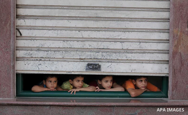 Palestinian children look through a store shutter at ambulances transporting casualties during Israeli offensive, in Gaza City July 30, 2014. Israeli strikes near a market in the eastern Gaza Strip killed 15 Palestinians...