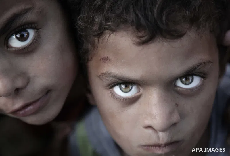 A displaced Palestinian boy looks out from a makeshift tent at the al-Shifa hospital in Gaza City where many Palestinians have have taken refuge after fleeing attacks in the Shejaiya neighbourhood of the city, on July 31...