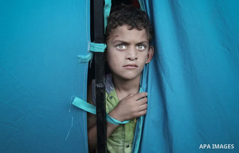 A displaced Palestinian boy looks out from a makeshift tent at the al-Shifa hospital in Gaza City where many Palestinians have have taken refuge after fleeing attacks in the Shejaiya neighbourhood of the city, on July 31...