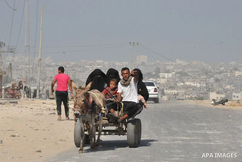 Palestinians ride in a donkey cart as they flee their houses in Beit Hanoun, Gaza Strip, August 1, 2014. A Gaza ceasefire was in jeopardy just hours after it began on Friday, with the Islamist group Hamas saying Israeli...