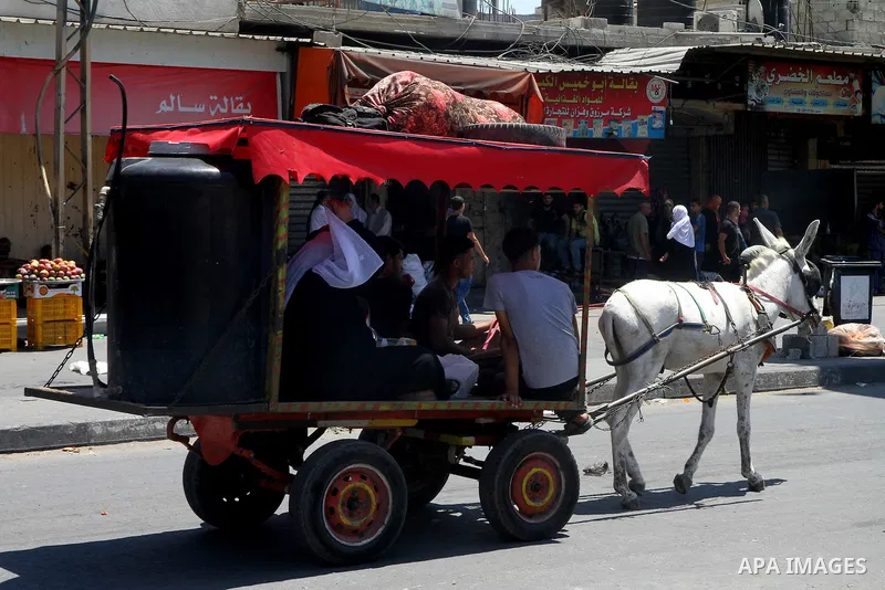 Displaced Palestinians flee their houses from Israeli shelling in Gaza City Aug. 01, 2014. A Gaza ceasefire was in jeopardy just hours after it began on Friday, with the Islamist group Hamas saying Israeli tank fire kill...