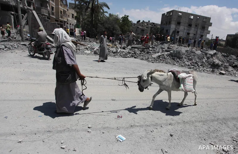 A Palestinian man walks with his donkey on the rubble of a house which witnesses said was destroyed in an Israeli air strike, in Rafah in the southern Gaza Strip August 4, 2014. Palestinians accused Israel of breaking it...