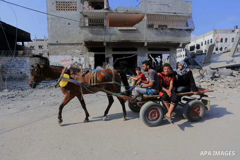 Palestinians inspect destroyed houses as they returning to their homes in the Al-Shejaia neighbourhood of Gaza City on August 5, 2014, after a 72-hour truce agreed by Israel and Hamas went into effect following intense g...