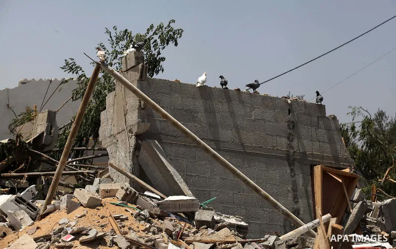 Doves stand on the rubble of a house, which witnesses said was badly damaged during the Israeli offensive, in the east of Rafah in the southern Gaza Strip August 5, 2014. Israel pulled its ground forces out of the Gaza S...