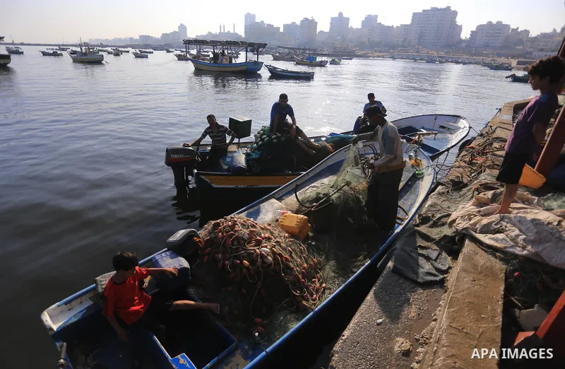 Palestinian fishermen unload boxes of fish from their boat at the seaport in Gaza City on August 7, 2014. The ceasefire, which came into effect on August 5, has brought relief to both sides after one month of fighting ki...