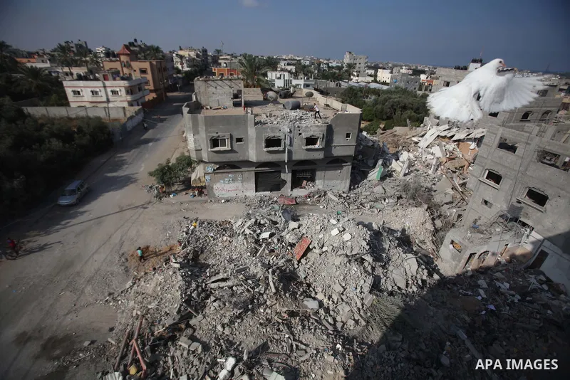 A Pigeon flies near the remains of a house, which witnesses said was destroyed by an Israeli air strike, in the central Gaza Strip August 23, 2014. Israeli aircraft bombed the Gaza Strip on Saturday and Palestinian milit...