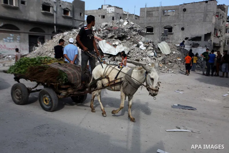 A Palestinian boy rides a donkey cart past a damaged house looks up as people inspect the remains of another house, which witnesses said was destroyed by an Israeli air strike, in the central Gaza Strip August 23, 2014....