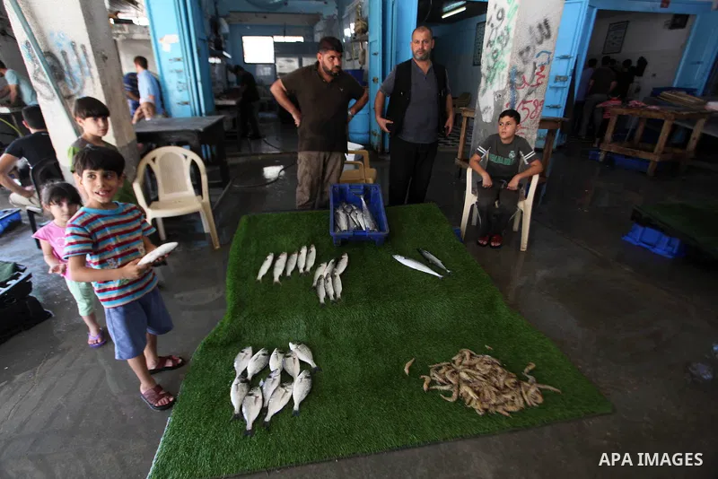 Palestinian fishermen sell fish at the port in Gaza City on August 28, 2014. Secretary-General of the Union of Fishermen Muhammad Basala told Ma'an that fishermen had been allowed to sail as far out as six nautical miles...
