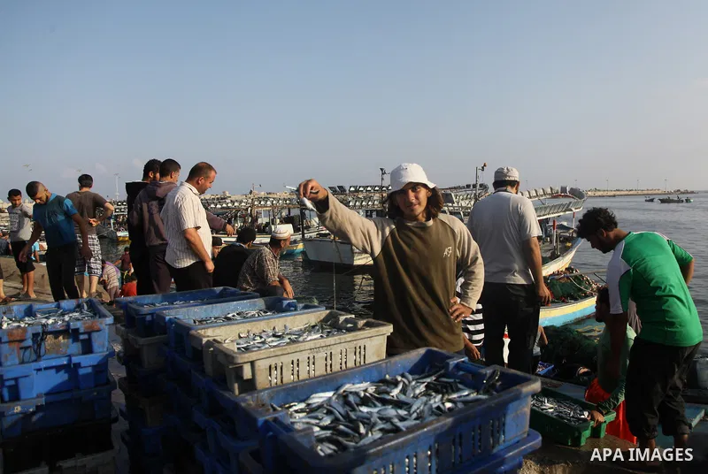A Palestinian fisherman sells fish at Gaza's seaport in Gaza City early on August 29, 2014. Israel and Hamas accepted an Egyptian proposal for a long-term ceasefire in war-torn Gaza on August 26 in a move to end 50 days...