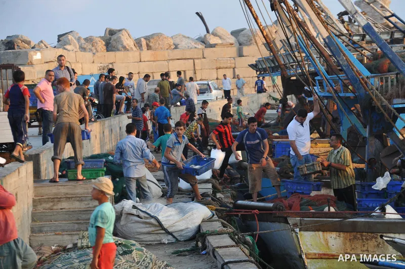 Palestinian fishermen collect boxes of fish at Gaza's seaport in Gaza City August 29, 2014. Israel and Hamas accepted an Egyptian proposal for a long-term ceasefire in war-torn Gaza on August 26 in a move to end 50 days...