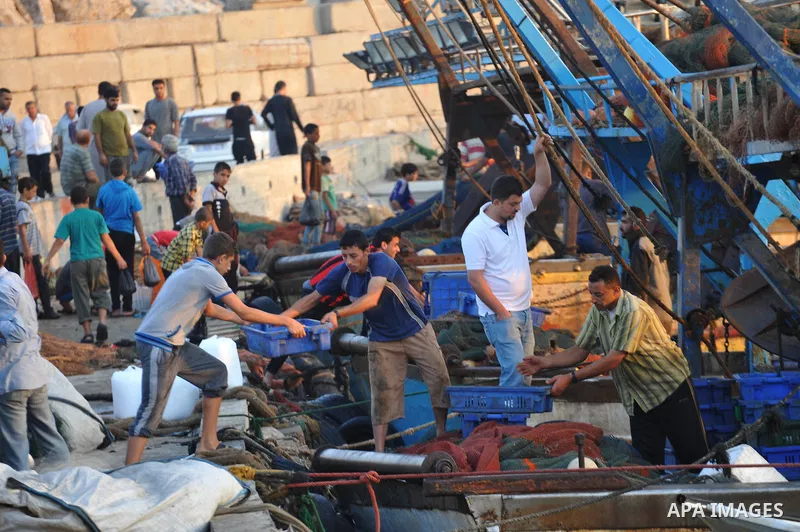 Palestinian fishermen collect boxes of fish at Gaza's seaport in Gaza City August 29, 2014. Israel and Hamas accepted an Egyptian proposal for a long-term ceasefire in war-torn Gaza on August 26 in a move to end 50 days...