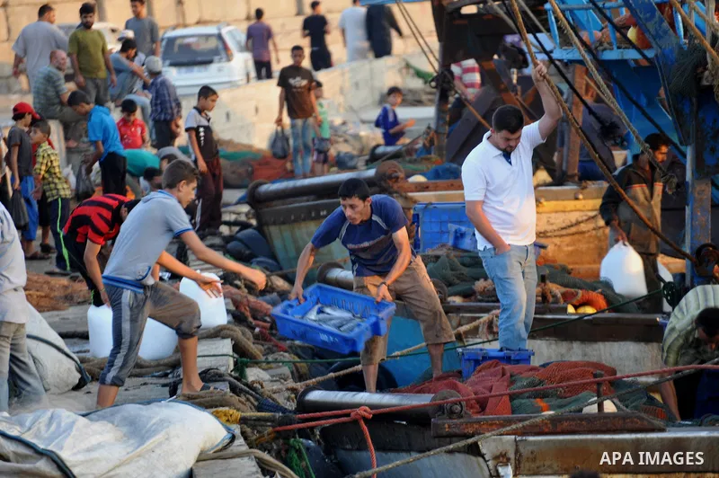 Palestinian fishermen collect boxes of fish at Gaza's seaport in Gaza City August 29, 2014. Israel and Hamas accepted an Egyptian proposal for a long-term ceasefire in war-torn Gaza on August 26 in a move to end 50 days...