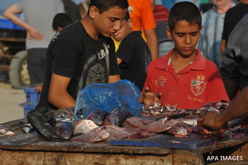 A Palestinian fisherman sells fish at Gaza's seaport in Gaza City early on August 29, 2014. Israel and Hamas accepted an Egyptian proposal for a long-term ceasefire in war-torn Gaza on August 26 in a move to end 50 days...
