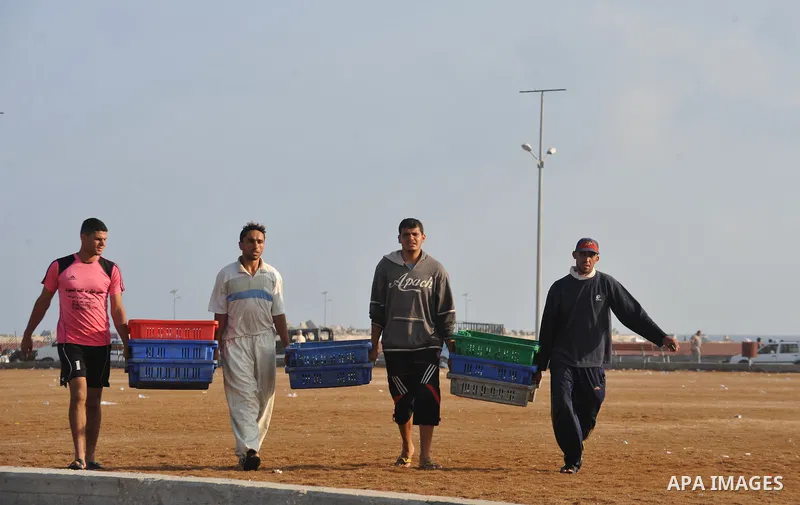Palestinian fishermen collect boxes of fish at Gaza's seaport in Gaza City August 29, 2014. Israel and Hamas accepted an Egyptian proposal for a long-term ceasefire in war-torn Gaza on August 26 in a move to end 50 days...