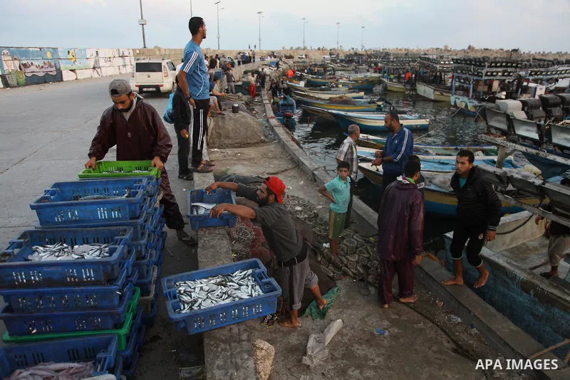 Palestinian fishermen collect boxes of fish at Gaza's seaport in Gaza City August 29, 2014. Israel and Hamas accepted an Egyptian proposal for a long-term ceasefire in war-torn Gaza on August 26 in a move to end 50 days...
