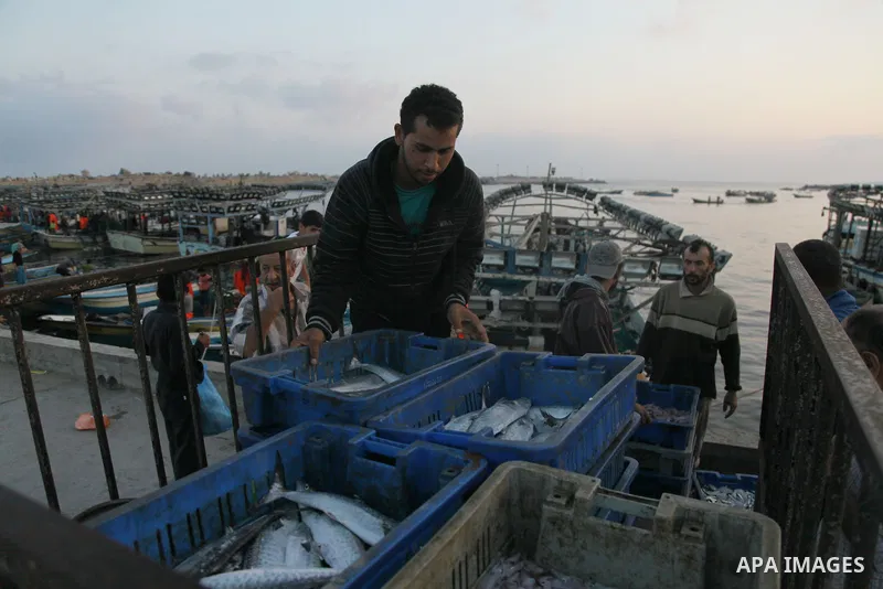 Palestinian fishermen collect boxes of fish at Gaza's seaport in Gaza City August 29, 2014. Israel and Hamas accepted an Egyptian proposal for a long-term ceasefire in war-torn Gaza on August 26 in a move to end 50 days...