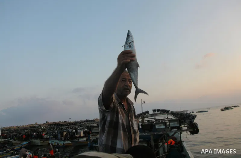 A Palestinian fisherman sells fish at Gaza's seaport in Gaza City early on August 29, 2014. Israel and Hamas accepted an Egyptian proposal for a long-term ceasefire in war-torn Gaza on August 26 in a move to end 50 days...