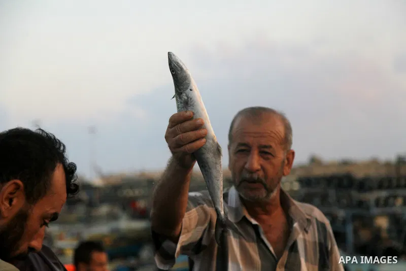 A Palestinian fisherman sells fish at Gaza's seaport in Gaza City early on August 29, 2014. Israel and Hamas accepted an Egyptian proposal for a long-term ceasefire in war-torn Gaza on August 26 in a move to end 50 days...