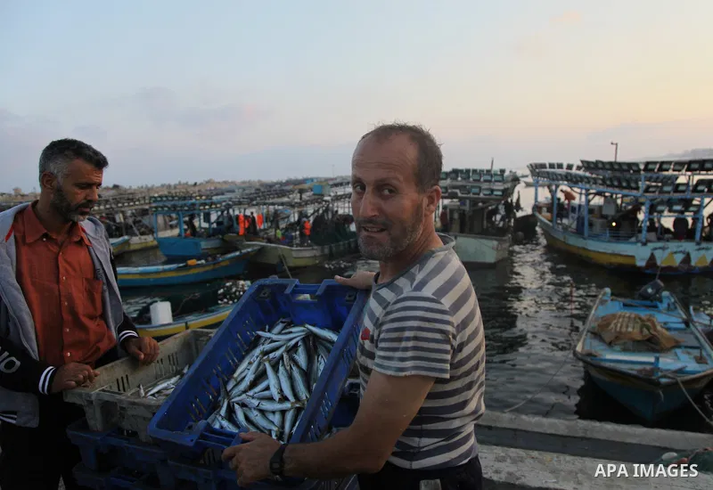 A Palestinian fisherman sells fish at Gaza's seaport in Gaza City early on August 29, 2014. Israel and Hamas accepted an Egyptian proposal for a long-term ceasefire in war-torn Gaza on August 26 in a move to end 50 days...