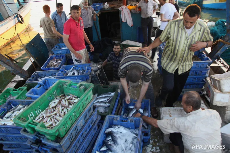 A Palestinian fisherman sells fish at Gaza's seaport in Gaza City early on August 29, 2014. Israel and Hamas accepted an Egyptian proposal for a long-term ceasefire in war-torn Gaza on August 26 in a move to end 50 days...