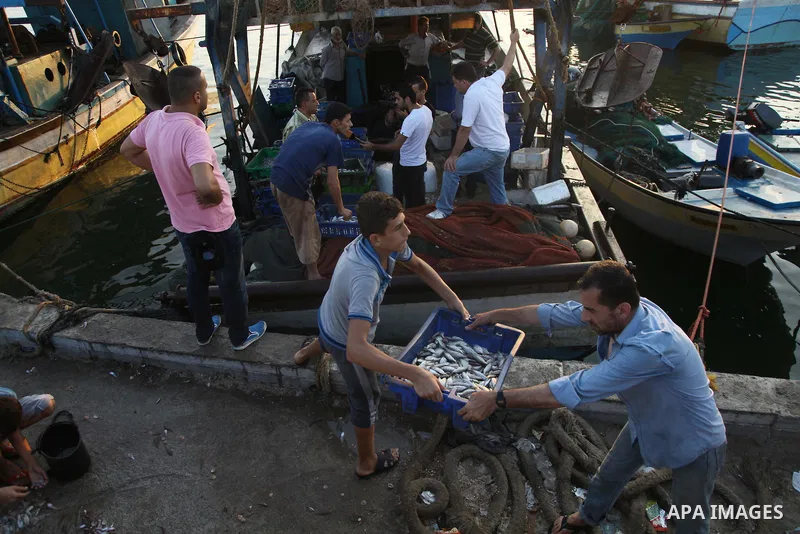 Palestinian fishermen collect boxes of fish at Gaza's seaport in Gaza City August 29, 2014. Israel and Hamas accepted an Egyptian proposal for a long-term ceasefire in war-torn Gaza on August 26 in a move to end 50 days...