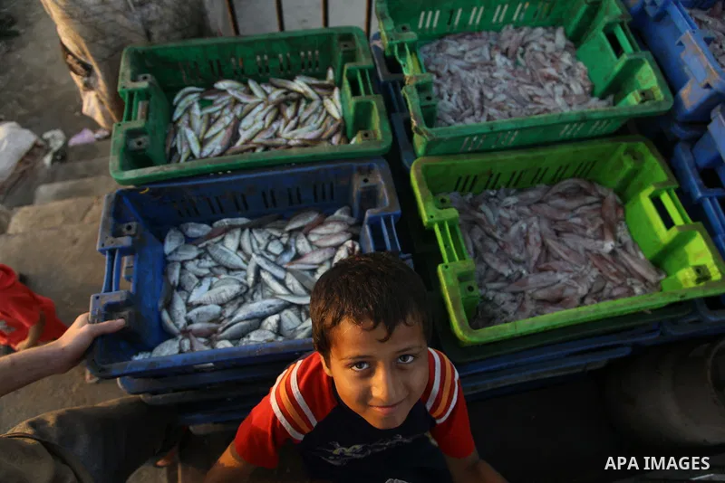 A Palestinian fisherman sells fish at Gaza's seaport in Gaza City early on August 29, 2014. Israel and Hamas accepted an Egyptian proposal for a long-term ceasefire in war-torn Gaza on August 26 in a move to end 50 days...