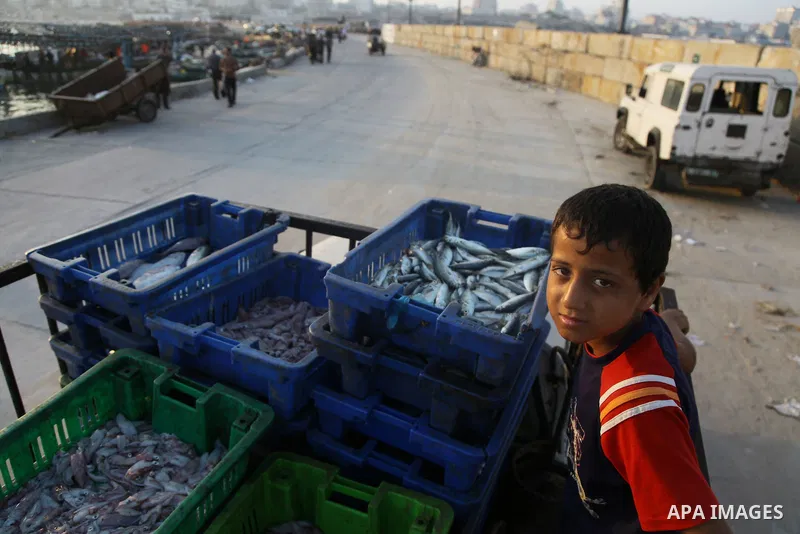 A Palestinian fisherman sells fish at Gaza's seaport in Gaza City early on August 29, 2014. Israel and Hamas accepted an Egyptian proposal for a long-term ceasefire in war-torn Gaza on August 26 in a move to end 50 days...