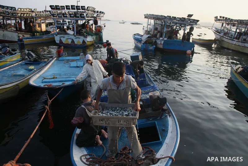 Palestinian fishermen collect boxes of fish at Gaza's seaport in Gaza City August 29, 2014. Israel and Hamas accepted an Egyptian proposal for a long-term ceasefire in war-torn Gaza on August 26 in a move to end 50 days...