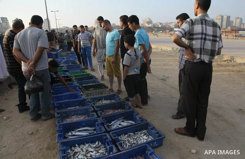 A Palestinian fisherman sells fish at Gaza's seaport in Gaza City early on August 29, 2014. Israel and Hamas accepted an Egyptian proposal for a long-term ceasefire in war-torn Gaza on August 26 in a move to end 50 days...