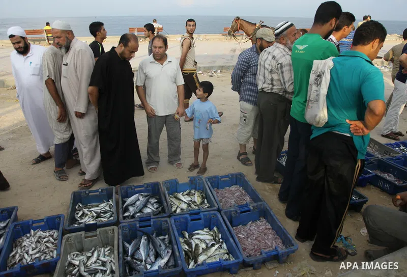 A Palestinian fisherman sells fish at Gaza's seaport in Gaza City early on August 29, 2014. Israel and Hamas accepted an Egyptian proposal for a long-term ceasefire in war-torn Gaza on August 26 in a move to end 50 days...