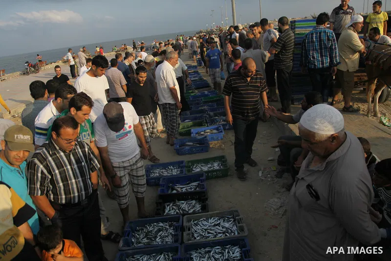 A Palestinian fisherman sells fish at Gaza's seaport in Gaza City early on August 29, 2014. Israel and Hamas accepted an Egyptian proposal for a long-term ceasefire in war-torn Gaza on August 26 in a move to end 50 days...