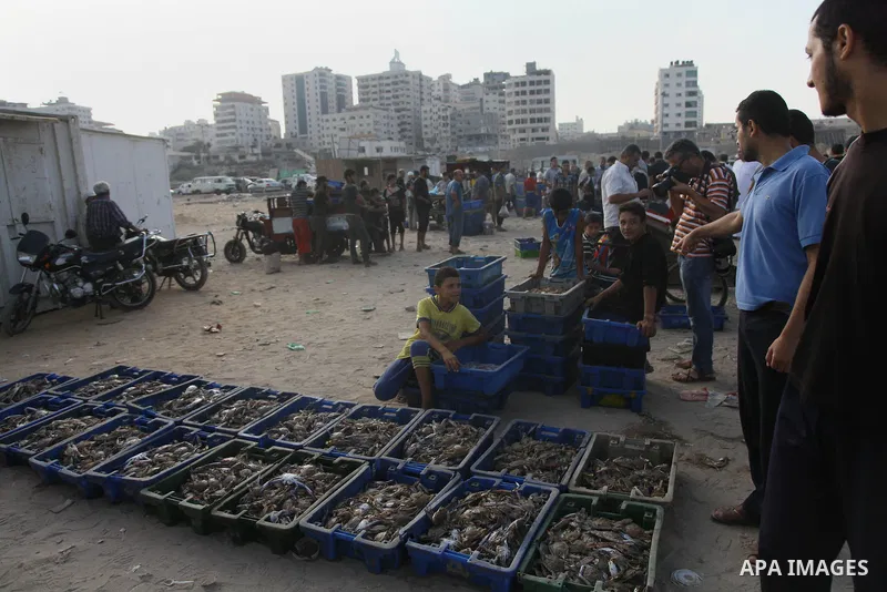 A Palestinian fisherman sells fish at Gaza's seaport in Gaza City early on August 29, 2014. Israel and Hamas accepted an Egyptian proposal for a long-term ceasefire in war-torn Gaza on August 26 in a move to end 50 days...