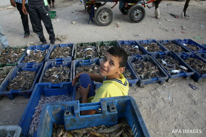 A Palestinian fisherman sells fish at Gaza's seaport in Gaza City early on August 29, 2014. Israel and Hamas accepted an Egyptian proposal for a long-term ceasefire in war-torn Gaza on August 26 in a move to end 50 days...