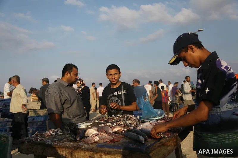 A Palestinian fisherman sells fish at Gaza's seaport in Gaza City early on August 29, 2014. Israel and Hamas accepted an Egyptian proposal for a long-term ceasefire in war-torn Gaza on August 26 in a move to end 50 days...