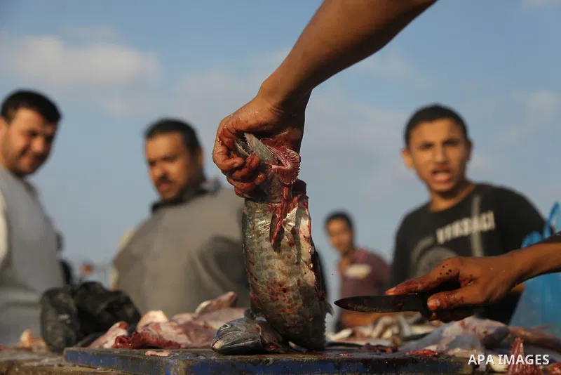 A Palestinian fisherman sells fish at Gaza's seaport in Gaza City early on August 29, 2014. Israel and Hamas accepted an Egyptian proposal for a long-term ceasefire in war-torn Gaza on August 26 in a move to end 50 days...