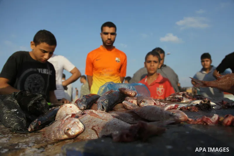 A Palestinian fisherman sells fish at Gaza's seaport in Gaza City early on August 29, 2014. Israel and Hamas accepted an Egyptian proposal for a long-term ceasefire in war-torn Gaza on August 26 in a move to end 50 days...