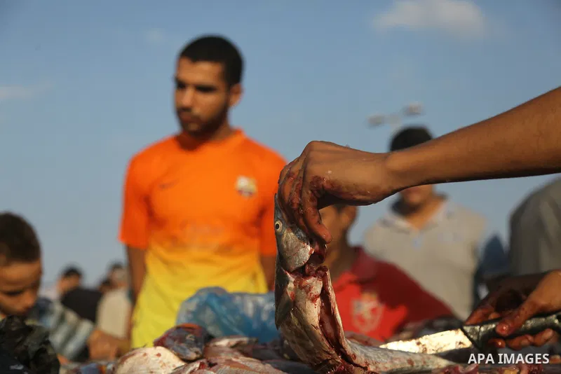 A Palestinian fisherman sells fish at Gaza's seaport in Gaza City early on August 29, 2014. Israel and Hamas accepted an Egyptian proposal for a long-term ceasefire in war-torn Gaza on August 26 in a move to end 50 days...