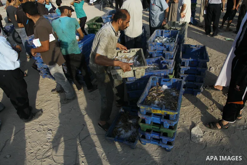 A Palestinian fisherman sells fish at Gaza's seaport in Gaza City early on August 29, 2014. Israel and Hamas accepted an Egyptian proposal for a long-term ceasefire in war-torn Gaza on August 26 in a move to end 50 days...