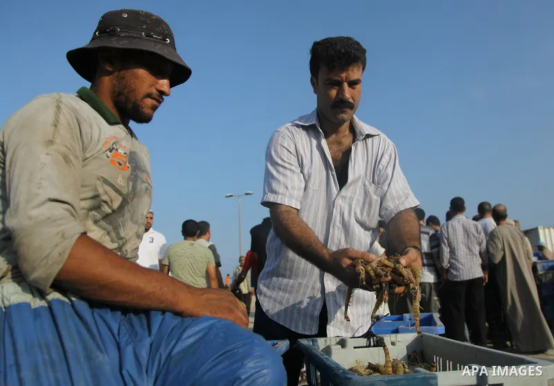 A Palestinian fisherman sells fish at Gaza's seaport in Gaza City early on August 29, 2014. Israel and Hamas accepted an Egyptian proposal for a long-term ceasefire in war-torn Gaza on August 26 in a move to end 50 days...