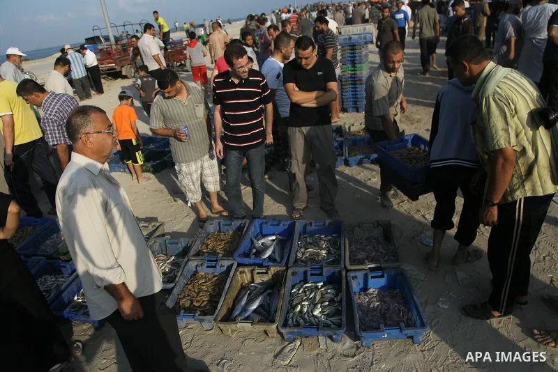 A Palestinian fisherman sells fish at Gaza's seaport in Gaza City early on August 29, 2014. Israel and Hamas accepted an Egyptian proposal for a long-term ceasefire in war-torn Gaza on August 26 in a move to end 50 days...
