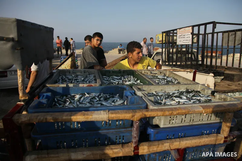 A Palestinian fisherman sells fish at Gaza's seaport in Gaza City early on August 29, 2014. Israel and Hamas accepted an Egyptian proposal for a long-term ceasefire in war-torn Gaza on August 26 in a move to end 50 days...