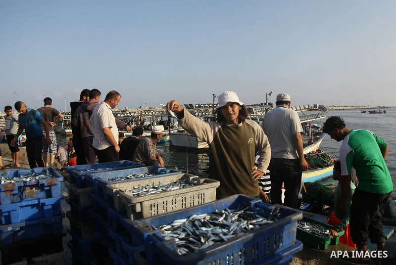 A Palestinian fisherman sells fish at Gaza's seaport in Gaza City early on August 29, 2014. Israel and Hamas accepted an Egyptian proposal for a long-term ceasefire in war-torn Gaza on August 26 in a move to end 50 days...