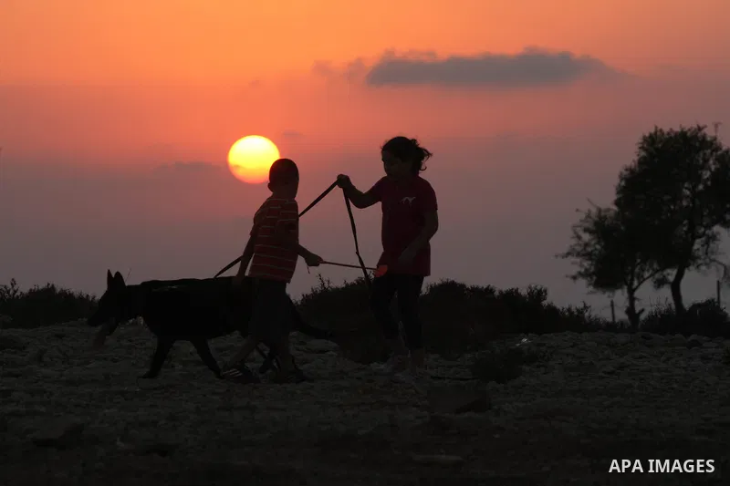 Palestinian children play with their dog during sunset in the West Bank city of Ramallah on Aug. 29, 2014. Photo by Shadi Hatem