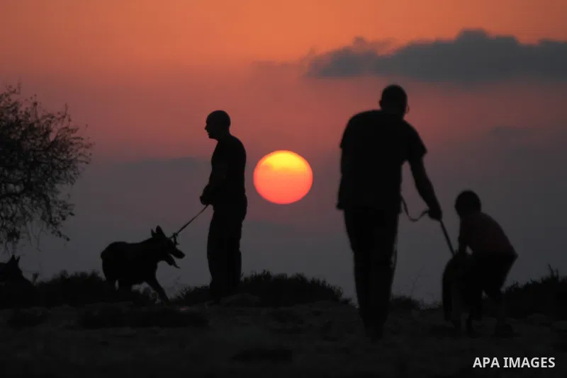Palestinian men train their dogs during sunset in the West Bank city of Ramallah on Aug. 29, 2014. Photo by Shadi Hatem