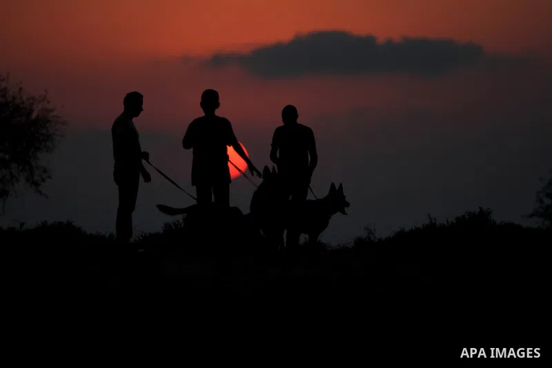 Palestinian men train their dogs during sunset in the West Bank city of Ramallah on Aug. 29, 2014. Photo by Shadi Hatem