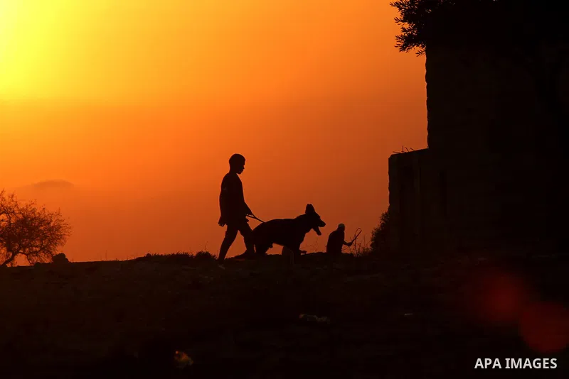 A Palestinian boy plays with his dog during sunset in the West Bank city of Ramallah on Aug. 29, 2014. Photo by Shadi Hatem