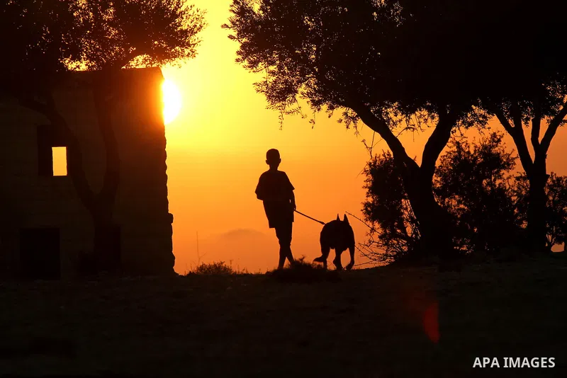 A Palestinian boy plays with his dog during sunset in the West Bank city of Ramallah on Aug. 29, 2014. Photo by Shadi Hatem