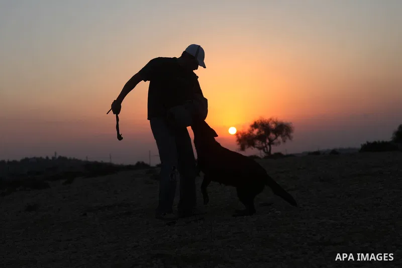A Palestinian man trains his dog during sunset in the West Bank city of Ramallah on Aug. 29, 2014. Photo by Shadi Hatem